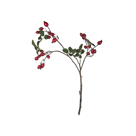 Branche Eglantier