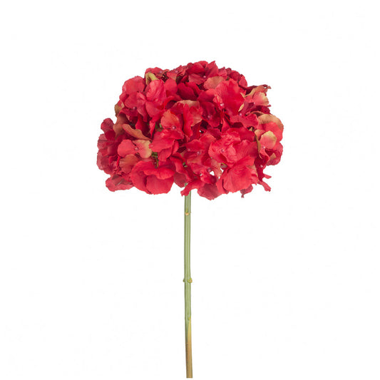 Tige d'Hortensia Anae