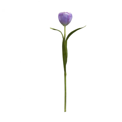 Tige de Tulipe Emilia
