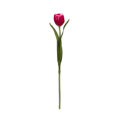 Tige de Tulipe Emilia