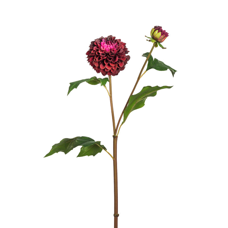 Tige de Dahlia Candice
