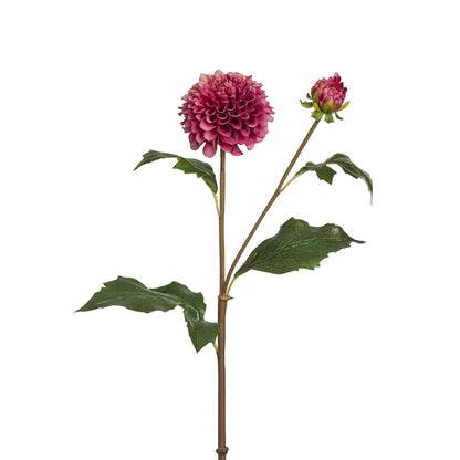 Tige de Dahlia Candice