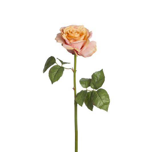 Tige de Rose Sarah