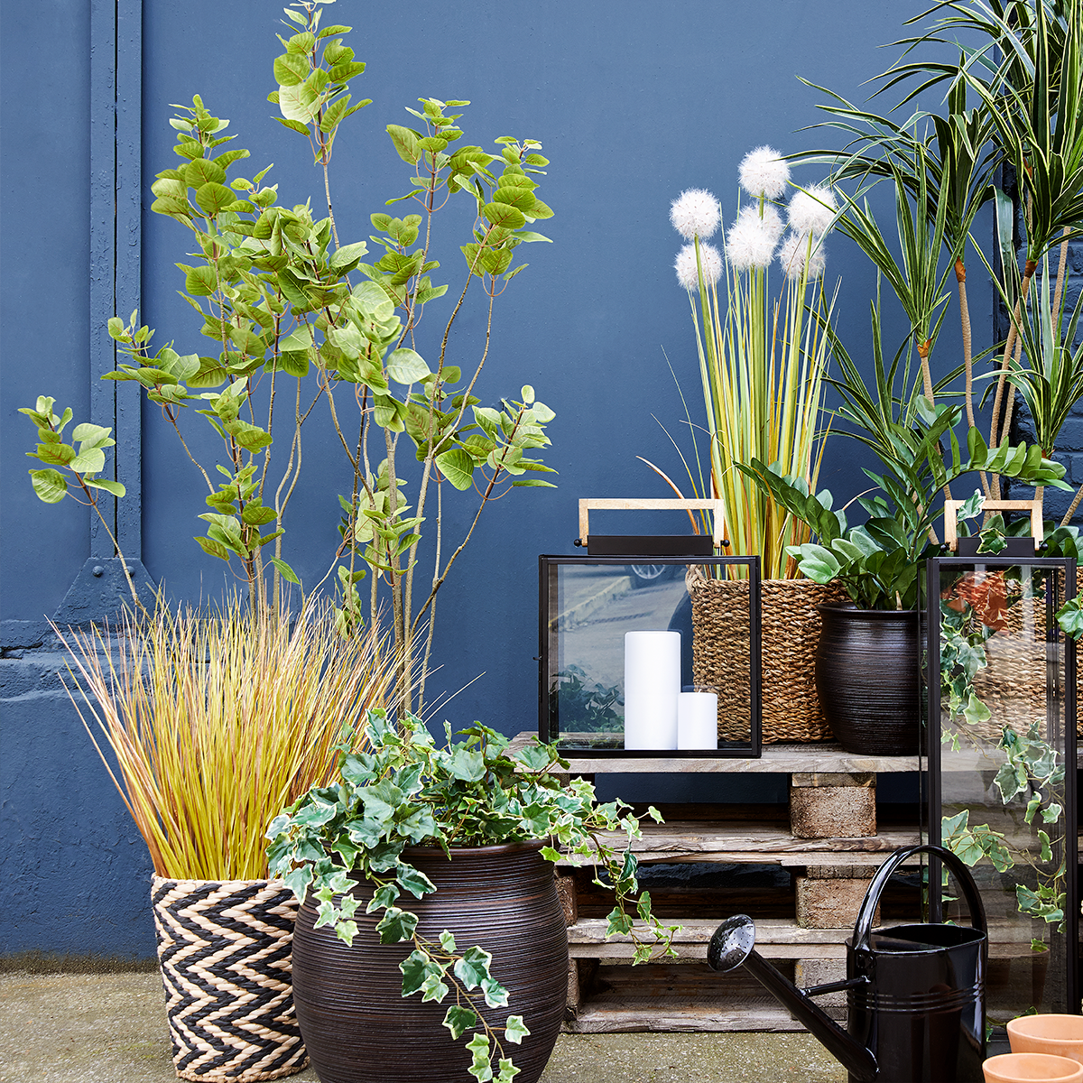 Feuillage Herbe d'oignon