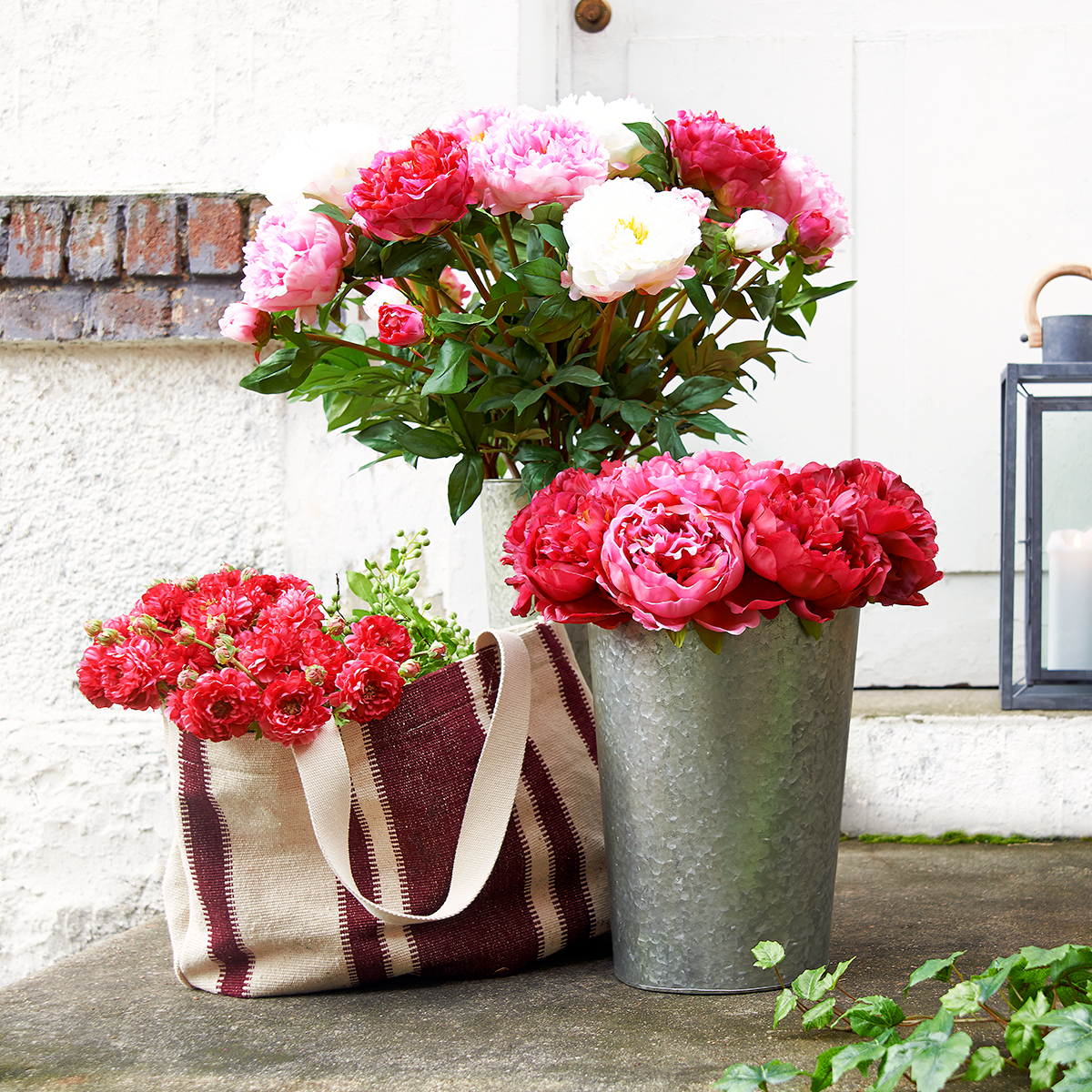 Tige de Pivoine Jardin