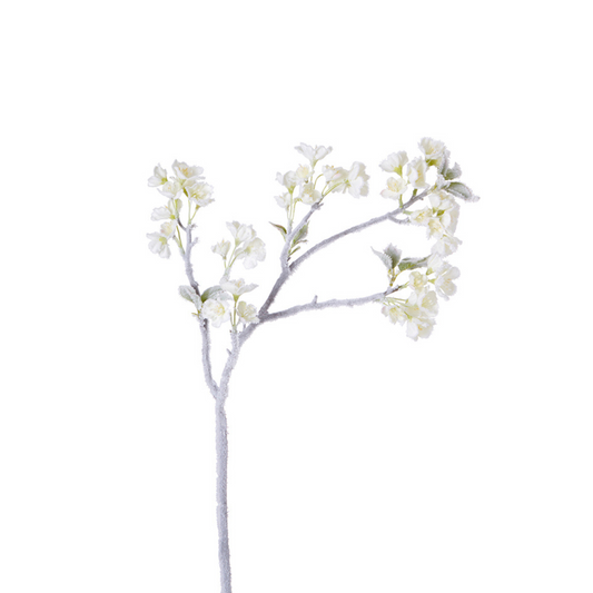 Tige de Cerisier des Neiges