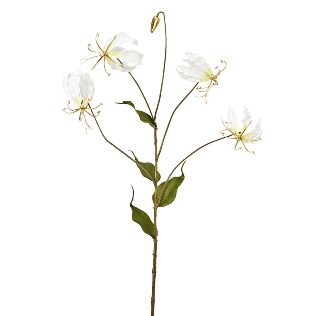 Tige de Gloriosa Amy Pailletée