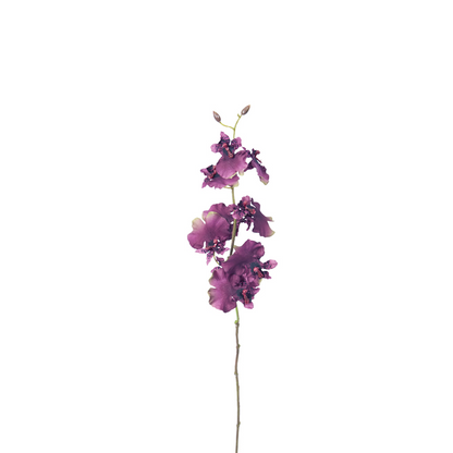 Tige d'Orchidée Oncidium