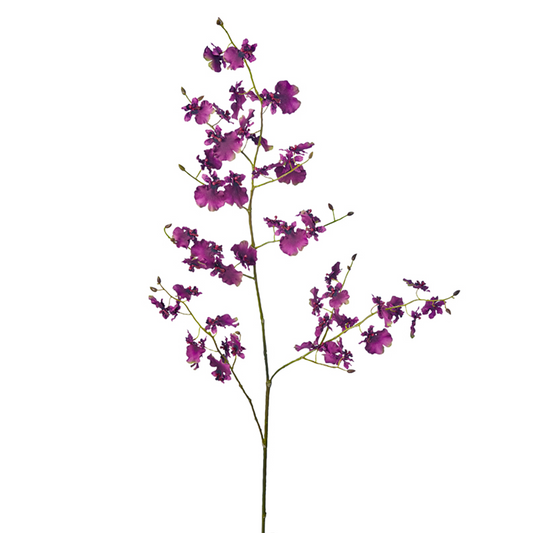 Tige d'Orchidée Oncidium