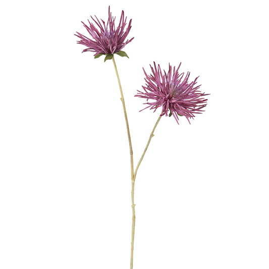 Tige de Chrysanthème Mum