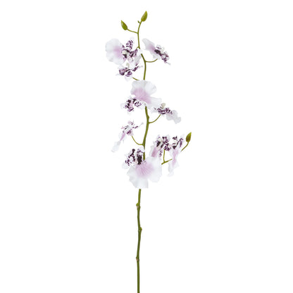 Tige d'Orchidée Oncidium