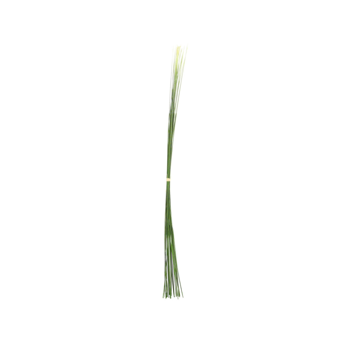 Touffe d'Herbes