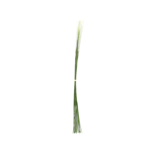 Touffe d'Herbes