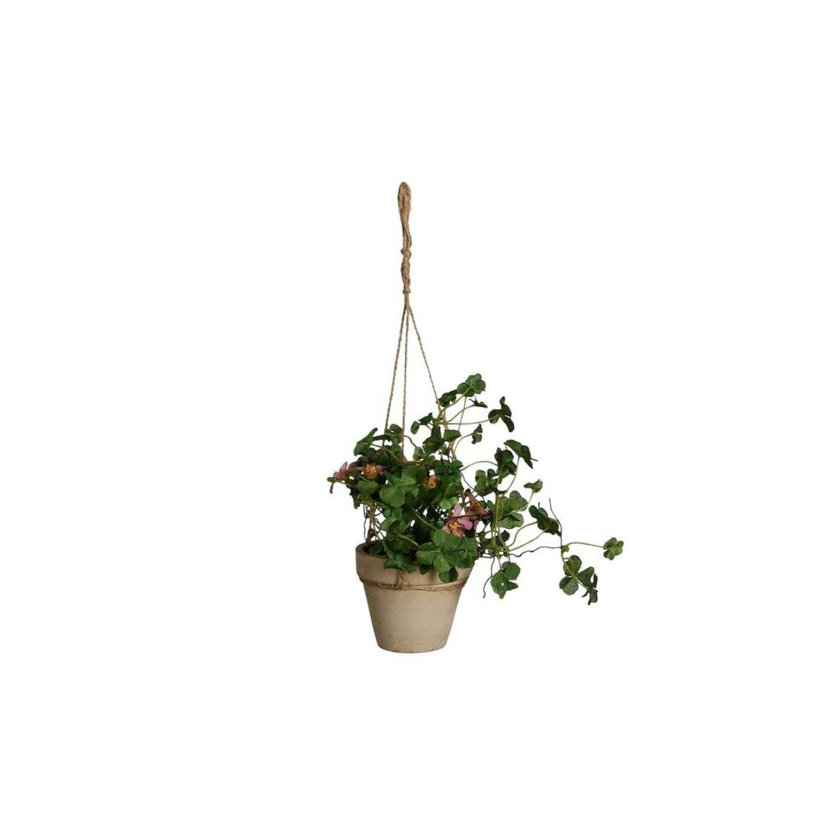 Composizione à Suspendre Mini Plante