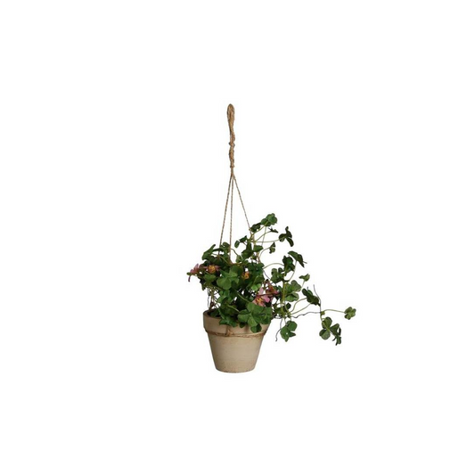 Composizione à Suspendre Mini Plante