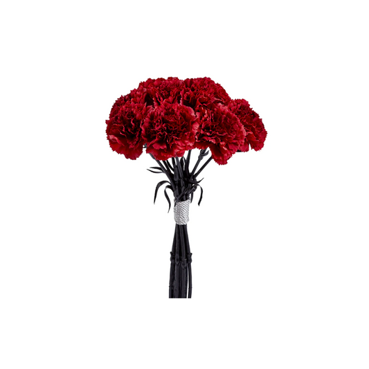 Bouquet d'Oeillets