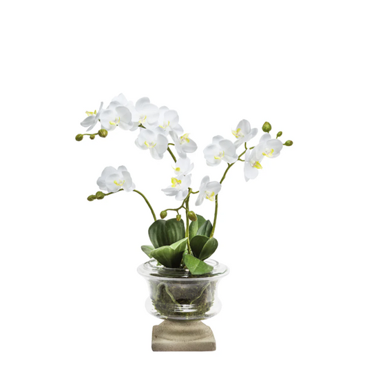 Composizione d'Orchidée Artificielle formato Petit