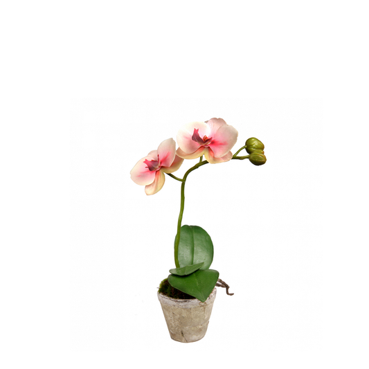 Composizione d'Orchidée Artificielle formato Sina Petit