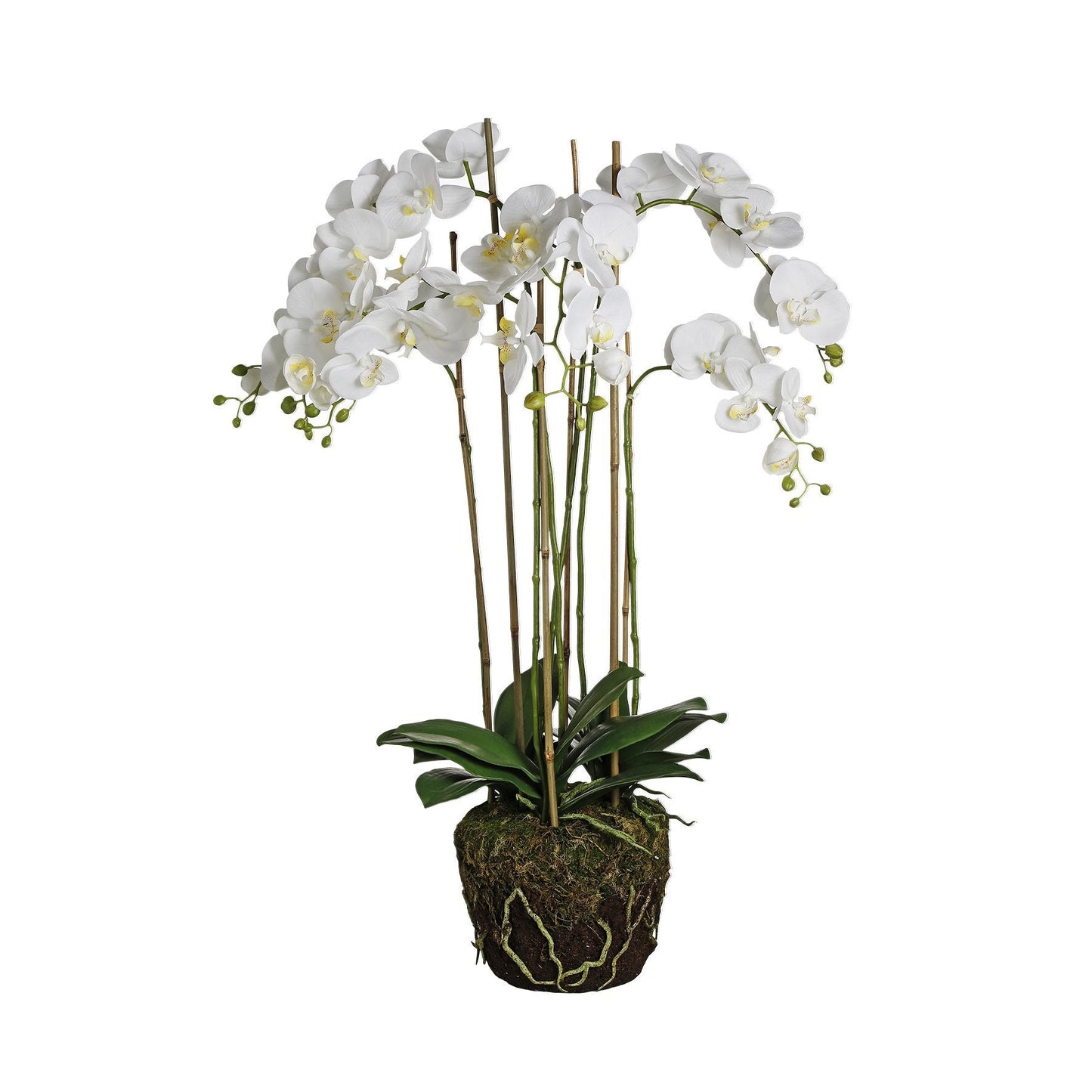 Orchidée Artificielle en Terre Très Formato grande