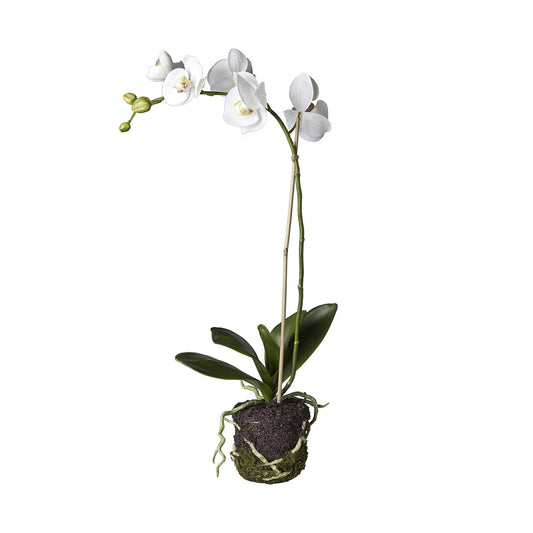 Formato Orchidée Artificielle en Terre Petit