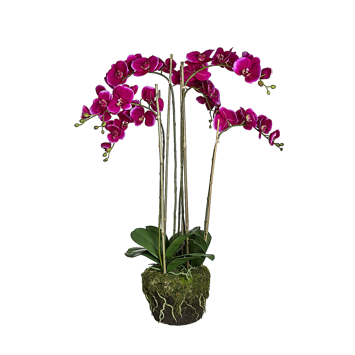 Orchidée Artificielle en Terre Très Formato grande