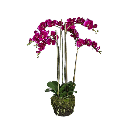 Orchidée Artificielle en Terre Très Formato grande