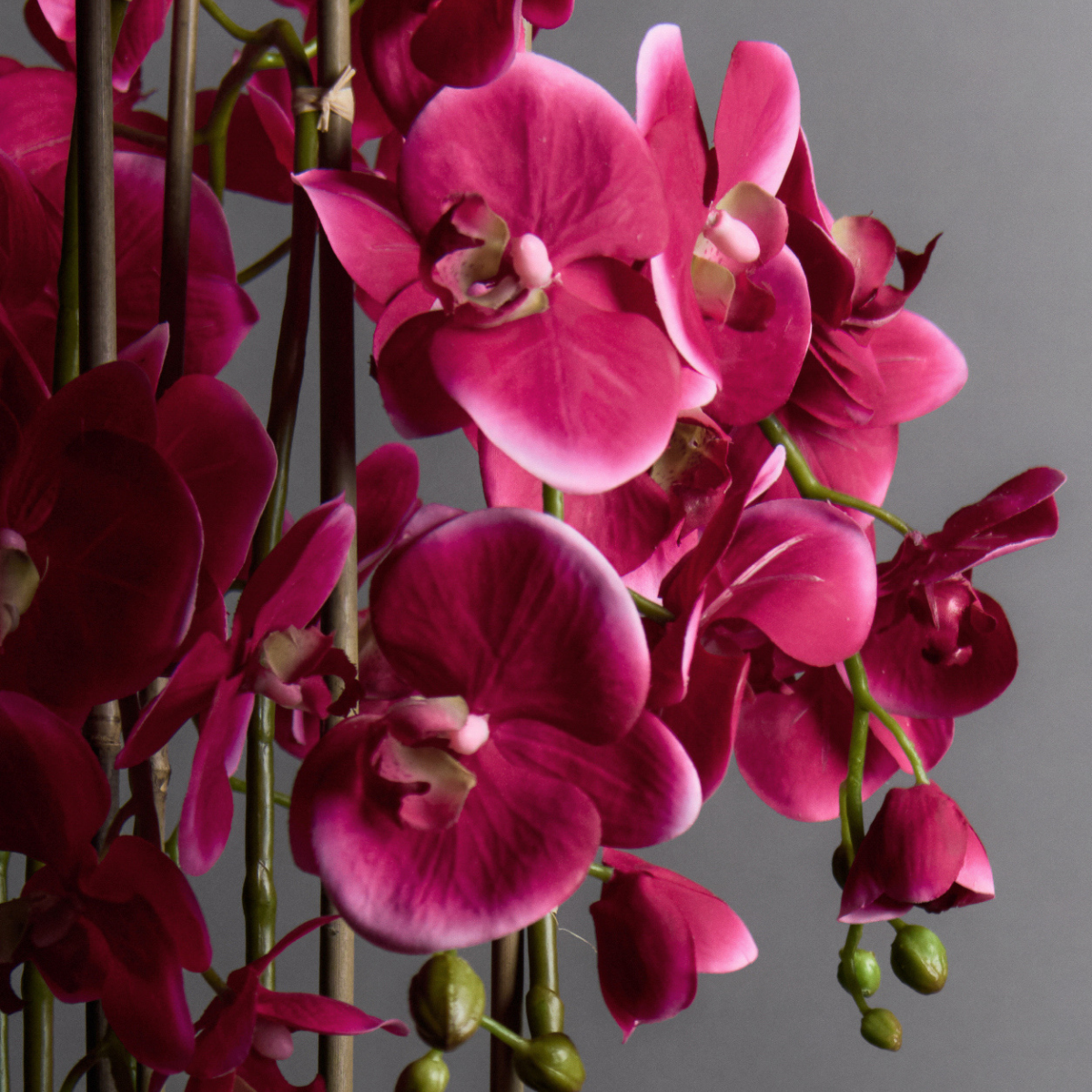 Orchidée Artificielle en Terre Très Formato grande