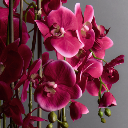 Orchidée Artificielle en Terre Très Formato grande