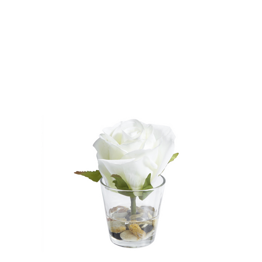 Rose en Illusion d'Eau Stones