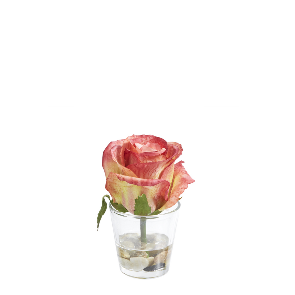 Rose en Illusion d'Eau Stones