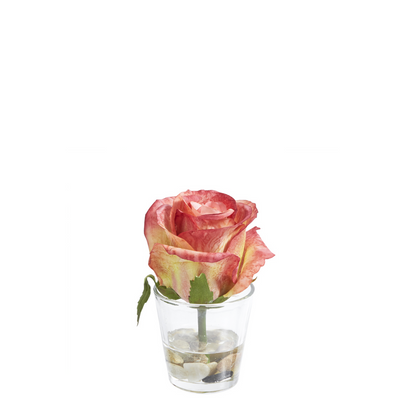Rose en Illusion d'Eau Stones