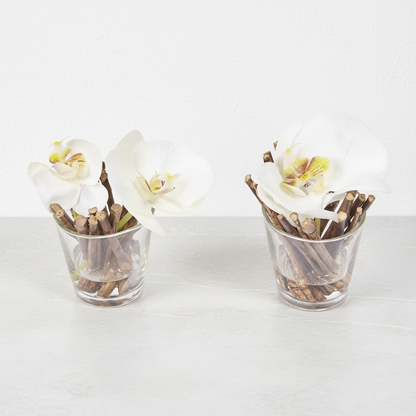 Orchidées Artificielles en Illusion d'Eau Sissi
