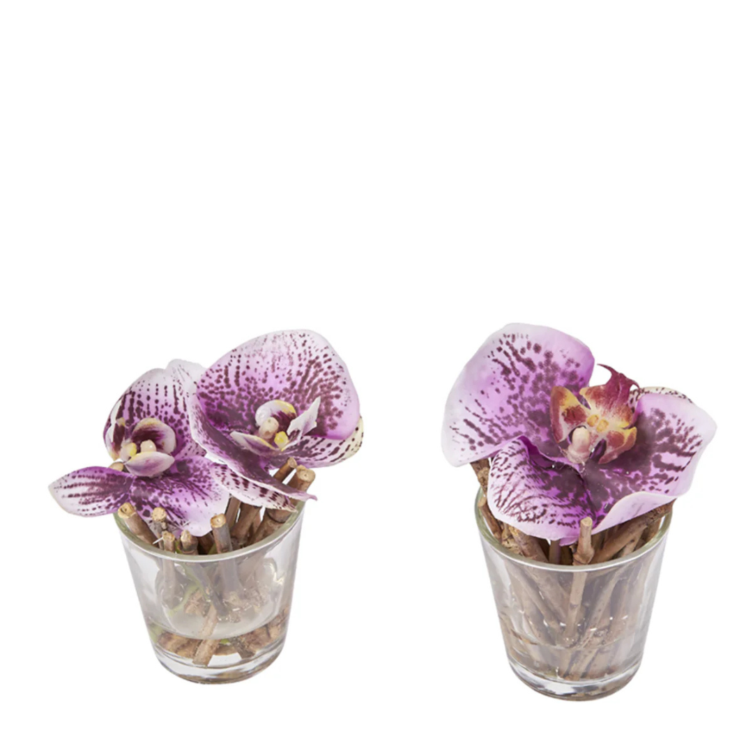 Orchidées Artificielles en Illusion d'Eau Sissi