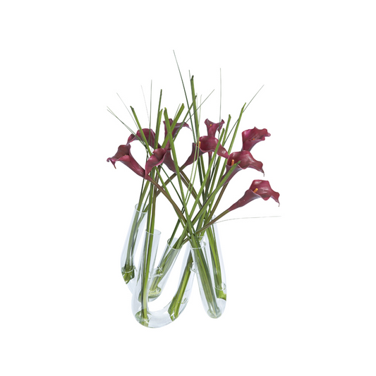 Composizione d'Arums en Illusion d'Eau