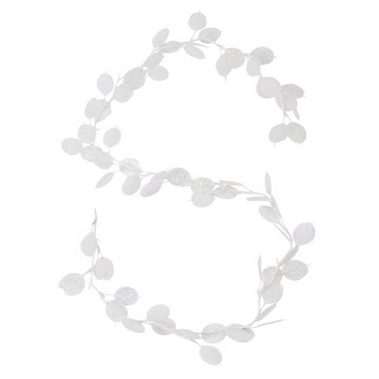 Guirlande de Lunaria