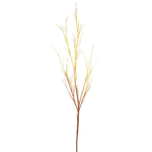 Branche de bois 