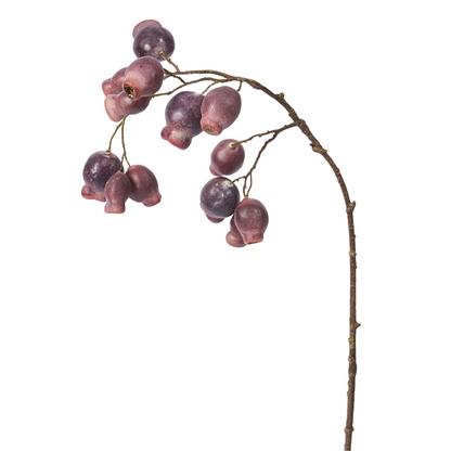 Branche Églantier