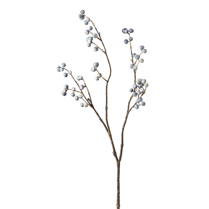 Branche de Baies