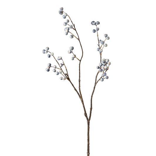 Branche de Baies