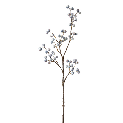 Branche de Baies