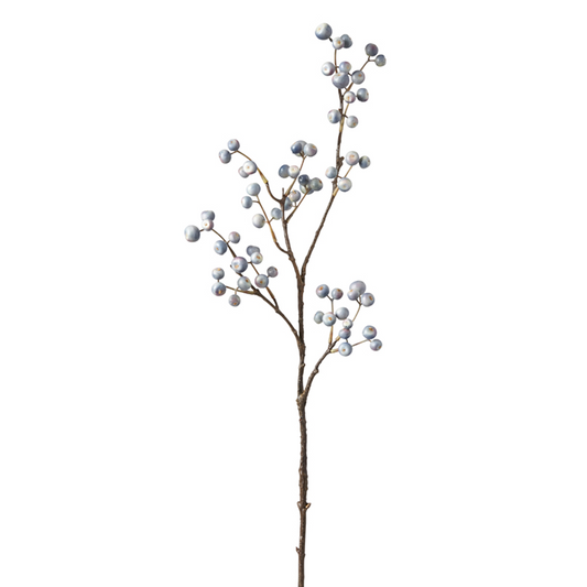 Branche de Baies
