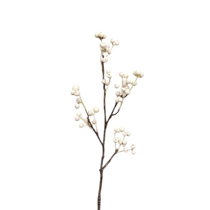 Branche de Baies