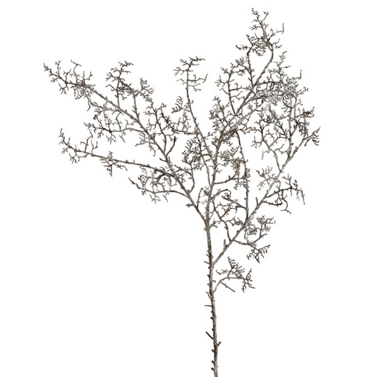 Branche de Pin Séché Noël