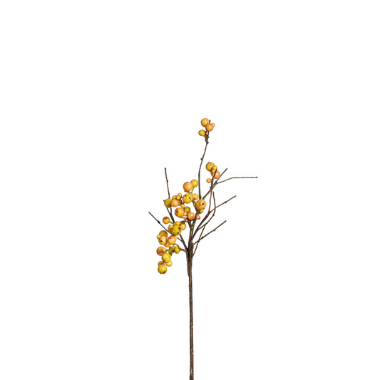 Branche de Baies sauvages