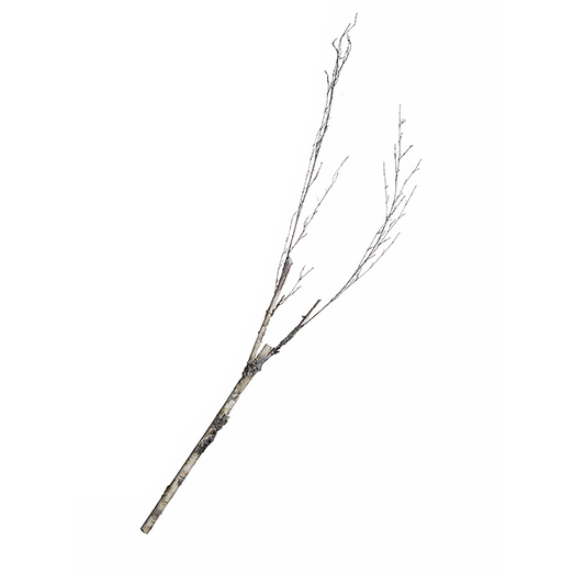 Branche de Boulot