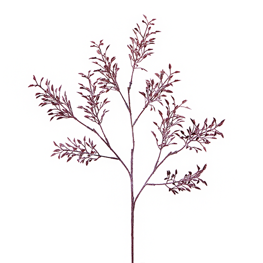 Feuillage de Glycine Givré