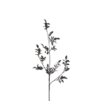 Branche de Baies avec Feuilles