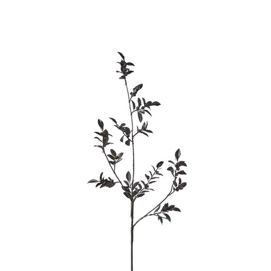 Branche de Baies avec Feuilles