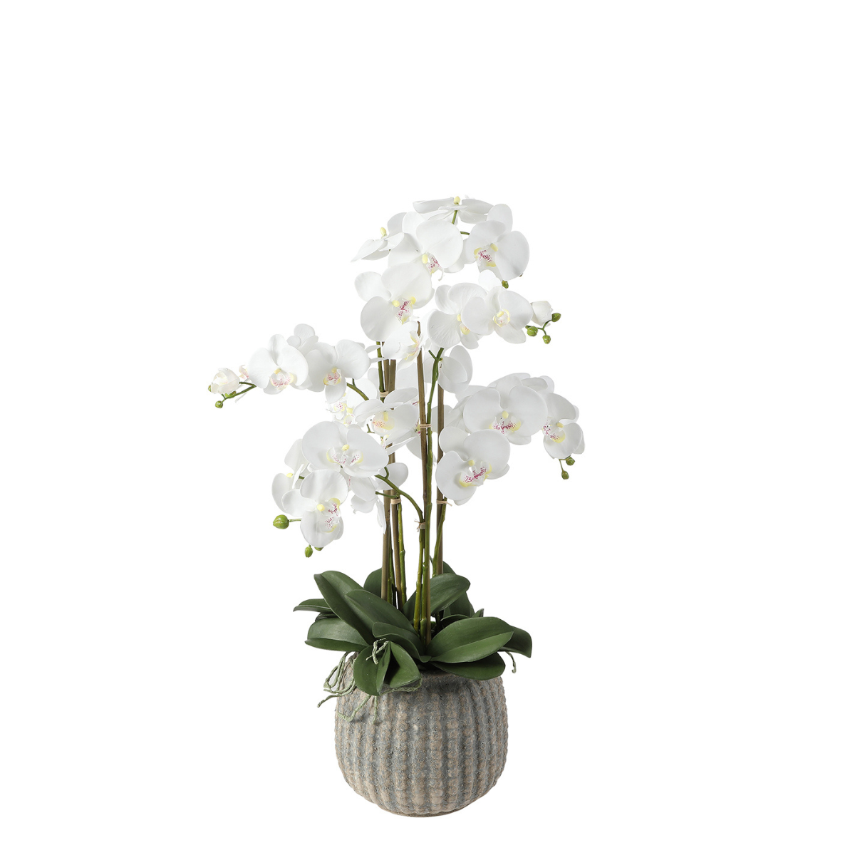 Composizione d'Orchidée Artificielle Vaso gris