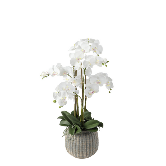 Composizione d'Orchidée Artificielle Vaso gris